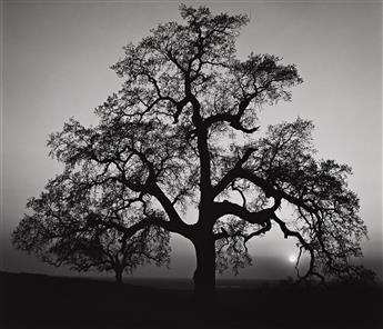 ANSEL ADAMS (1902-1984) Portfolio Four: What Majestic Word, In Memory of Russell Varian. 1963.